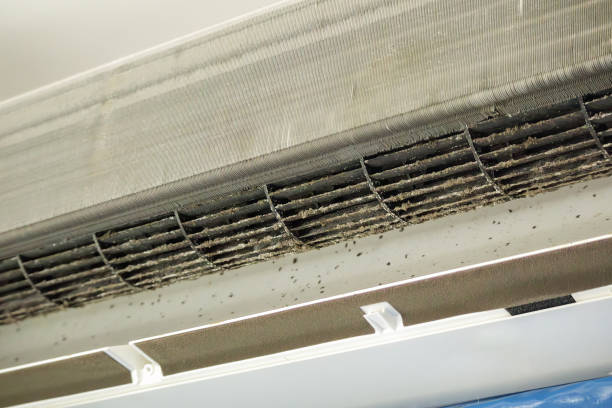 Best HVAC Duct Inspection Services  in Clay City, IN